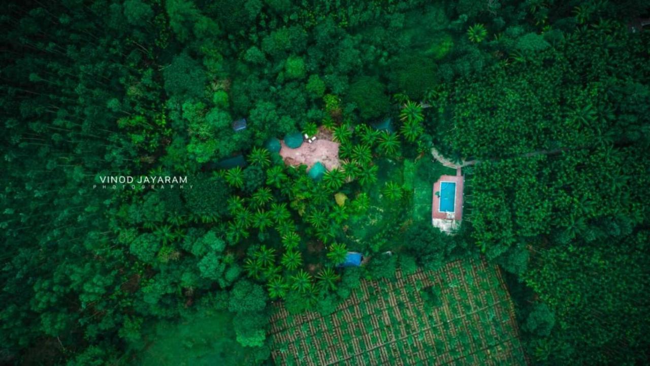 Staymaker Coorg Jungle Stay Resort Kushālnagar 외부 사진